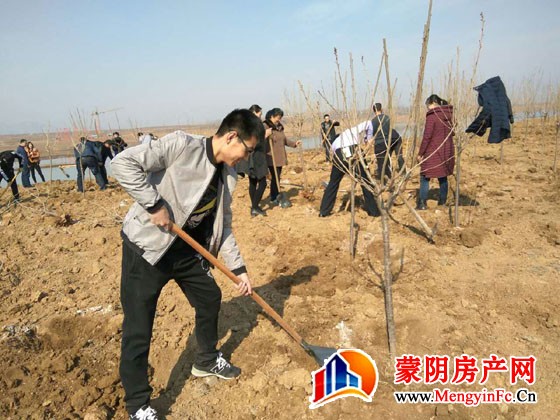 蒙阴县房产局开展义务植树活动