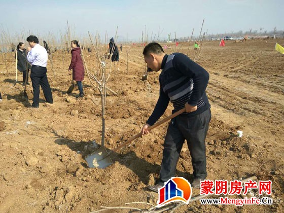 蒙阴县房产局开展义务植树活动